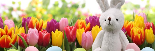 Wielkanoc, Pisanki, Jajka, Pluszowy Króliczek, Tulipany