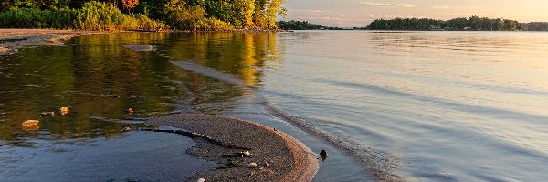 Brzeg, Jesień, Las, Jezioro