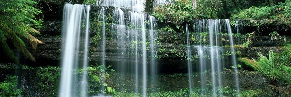 Australia, Russell Falls, Wodospad