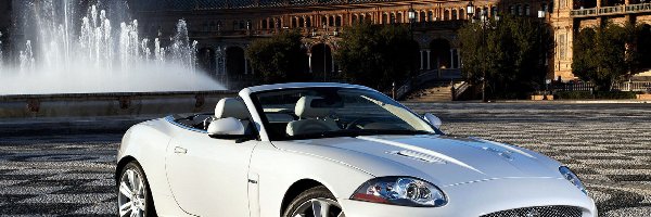 Dziedziniec, Fontanna, Jaguar