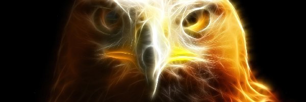 Fractalius, Orzeł