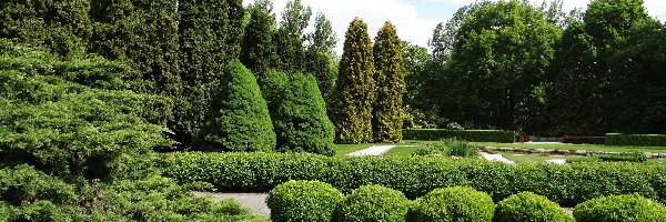 Drzewa, Park, Krzewy, Krajobraz