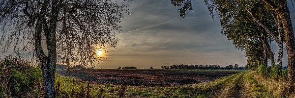 Wieś, Droga, Pola, Drzewa, Zachód Słońca