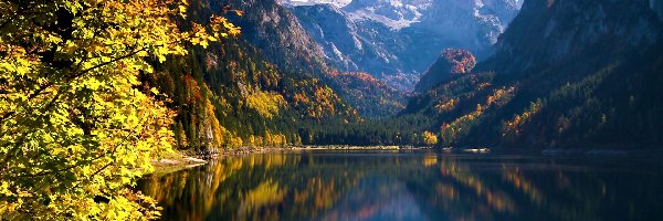 Gosau, Lasy, Jesień, Austria, Góry, Jezioro