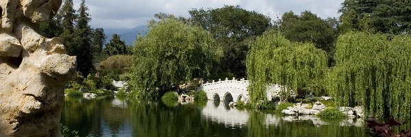 Most, Rzeka, Park