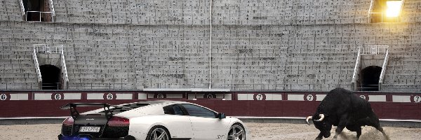 Murcielago, Byk, Stadion, Lamborghini