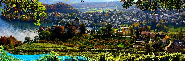 Winnica, Miasto, Panorama, Szwajcaria, Spiez