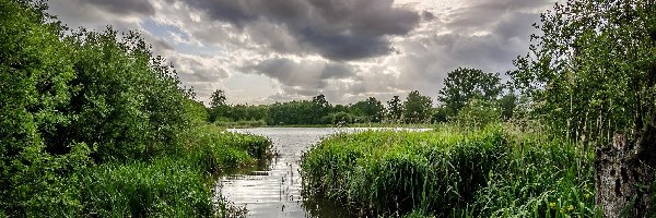 Zachmurzone, Las, Niebo, Szuwary, Rzeka