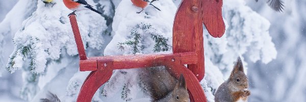 Wiewiórki, Konik, Ptaki, Gil, Drewniany