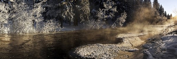 Śnieg, Drzewa, Rzeka, Zima