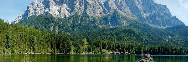 Las, Woda, Budynki, Góry