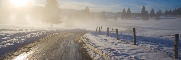 Droga, Drzewa, Śnieg, Słońce, Mgła