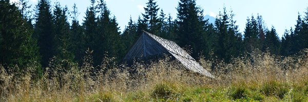 Bacówka, Trawa, Niebo