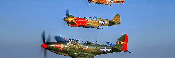 Myśliwce, North American P-51 Mustang, Curtiss P-40 Warhawk, Samoloty
