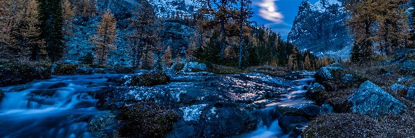 Świt, Potok, Góry, Drzewa, Park Narodowy Yoho, Kanada