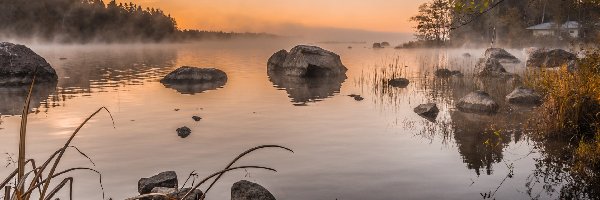 jezioro, Trawa, Kamienie, Mgła, Drzewa