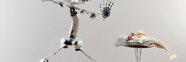 Oko, Ryba, Robot