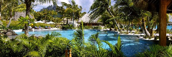 Hotel, Kurort, Basen, Bora Bora, St Regis