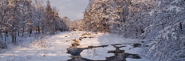 Las, Zima, Rzeka