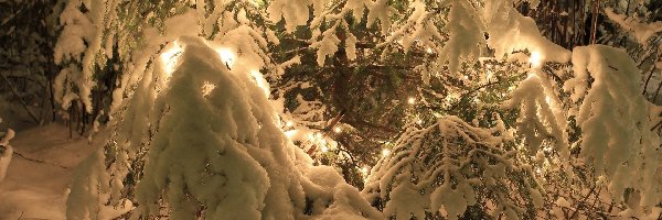 Światełka, Śnieg, Choinka