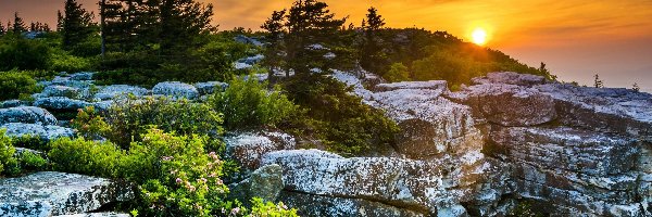 Stany Zjednoczone, Płaskowyż Dolly Sods Wilderness, Wirginia Zachodnia, Zachód słońca, Skały