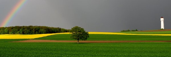 Tęcza, Wieża, Drzewo, Pola