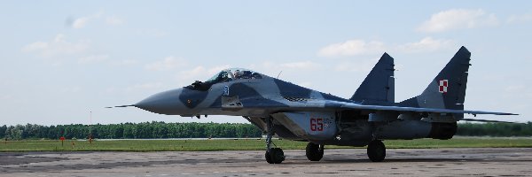 MIG 29