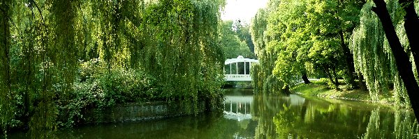 Staw, Dolny Śląsk, Park