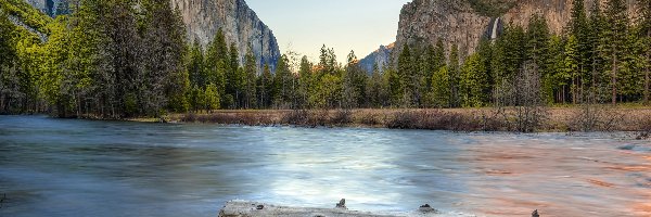 Drzewa, Park Narodowy Yosemite, Góry, Stan Kalifornia, Stany Zjednoczone, Kamienie, Rzeka