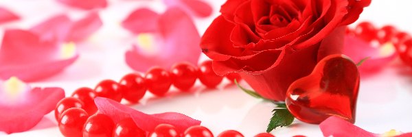 Serce, Płatki rózy, Czerwona róża, Czerwone perły