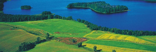 Lasy, Mazury, Łąki, Jezioro