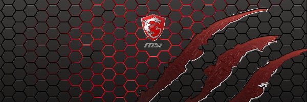 MSI