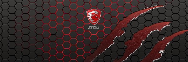 MSI