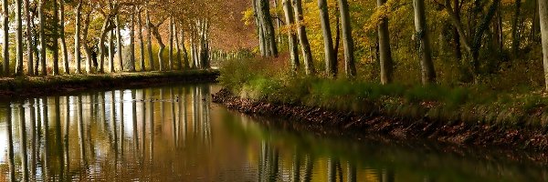 Jesień, Las, Rzeka, Odbicie, Drzewa