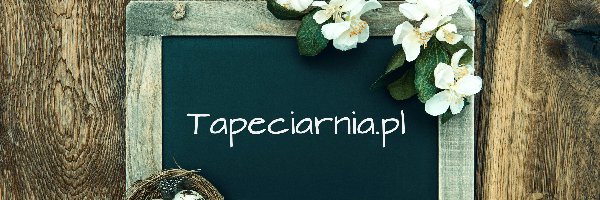 Gniazdo, Kompozycja, Kwiaty, Ramka