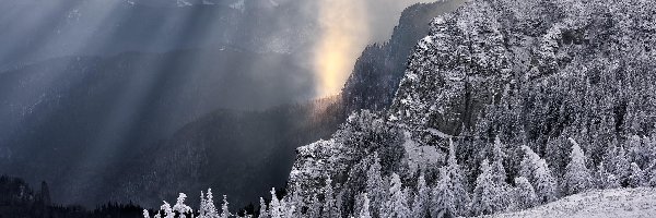 Góry, Przebijające Światło, Drzewa, Zima