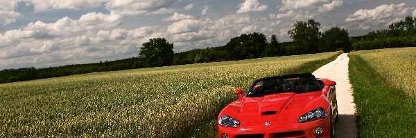 Dodge Viper, Pole, Droga, Czerwony