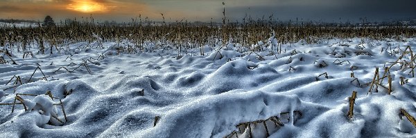 Śnieg, Słońca, Zachód, Pole