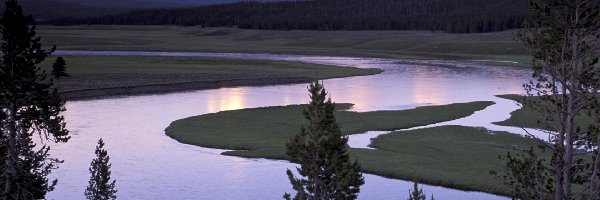 Stany Zjednoczone, Rzeka, Park Narodowy Yellowstone, Lasy, Góry