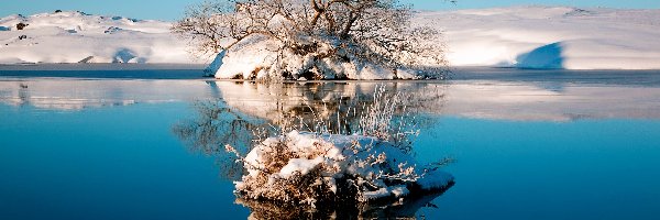 Śnieg, Odbicie, Drzewo, Jezioro