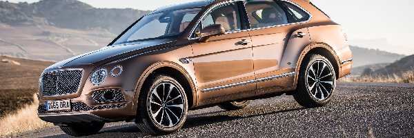 Bentayga, Bentley, Samochód