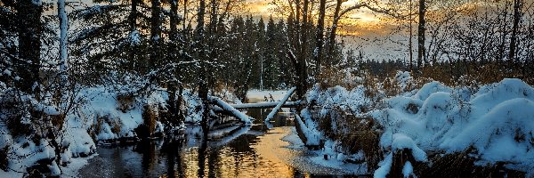 Drzewa, Zima, Rzeka, Wschód słońca, Region Värmland, Szwecja