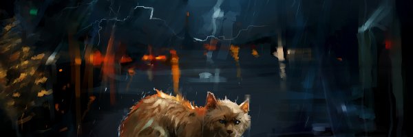 Kot