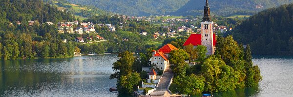 Słowenia, Drzewa, Jezioro Bled, Kościół, Wyspa Blejski Otok