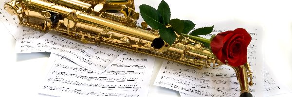 Instrument, Saksofon, Muzyczny, Róża, Nuty