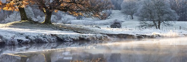 Las, Mgła, Jezioro, Zima