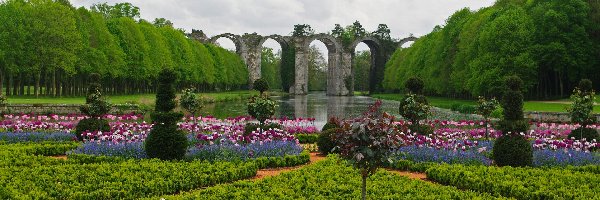 Most, Staw, Wersal, Paryż, Francja, Niezapominajki, Tulipany, Park, Kwiaty