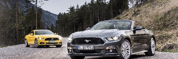 Mustang converbile, Ford, Samochody