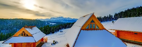 Zima, Góry, Śnieg, Polska, Las