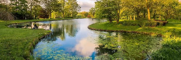 Park, Drzewa, Staw, Kaczka, Ławki